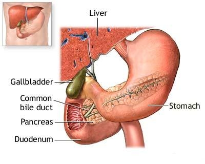 imagine cu bolile pancreasului